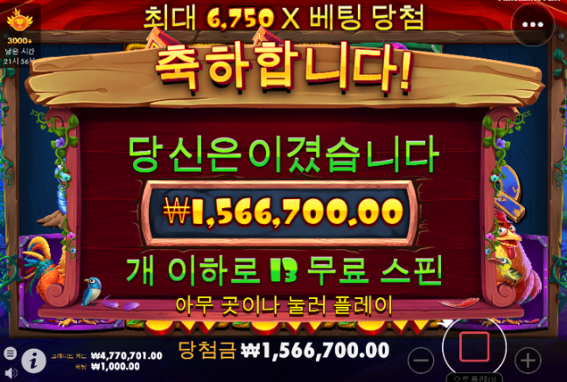 슬롯후기(0)