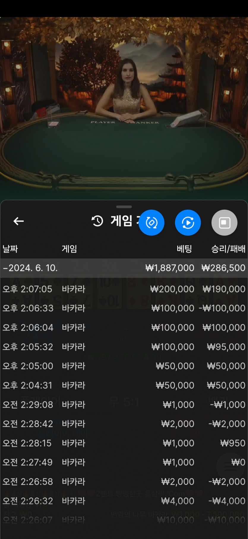 얀카지노후기(0)