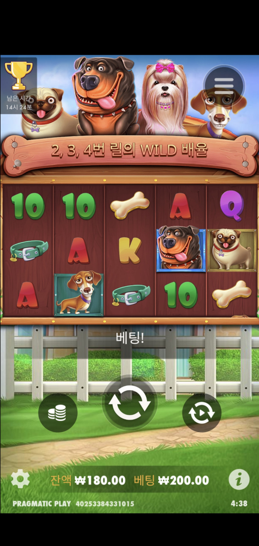 비제휴 후기(0)