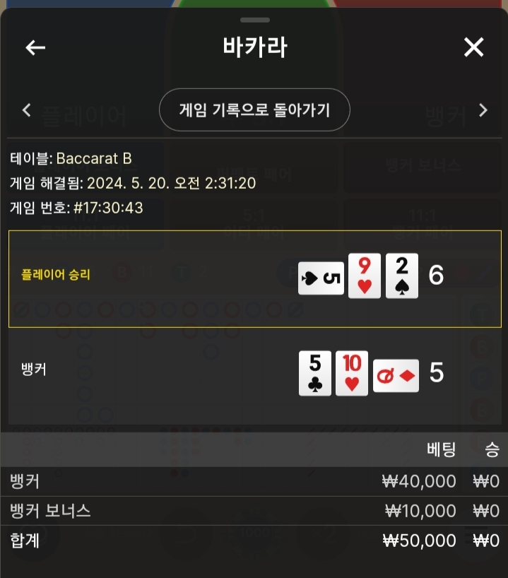 비제후기(0)