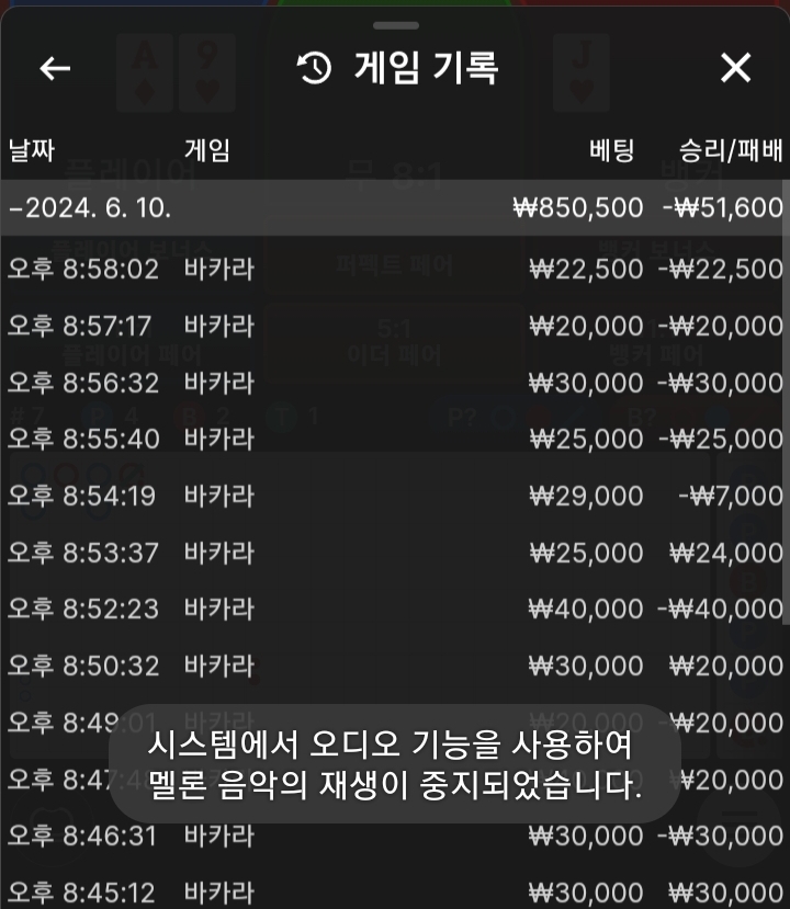 비제후기(0)