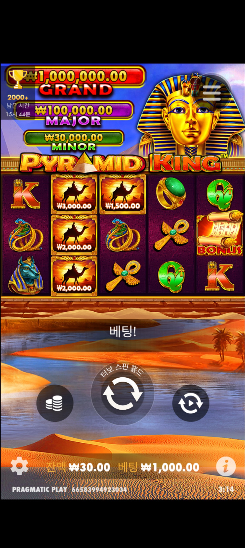 슬롯후기(0)