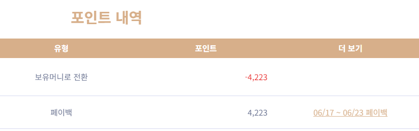 k 페이백(1)