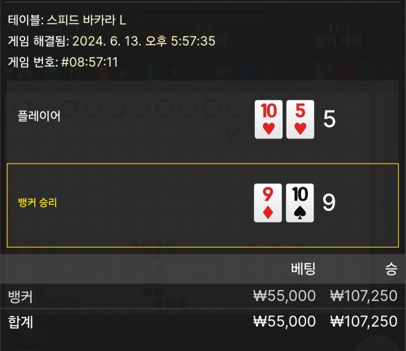 6/13 비제휴 바카라 후기 5(0)