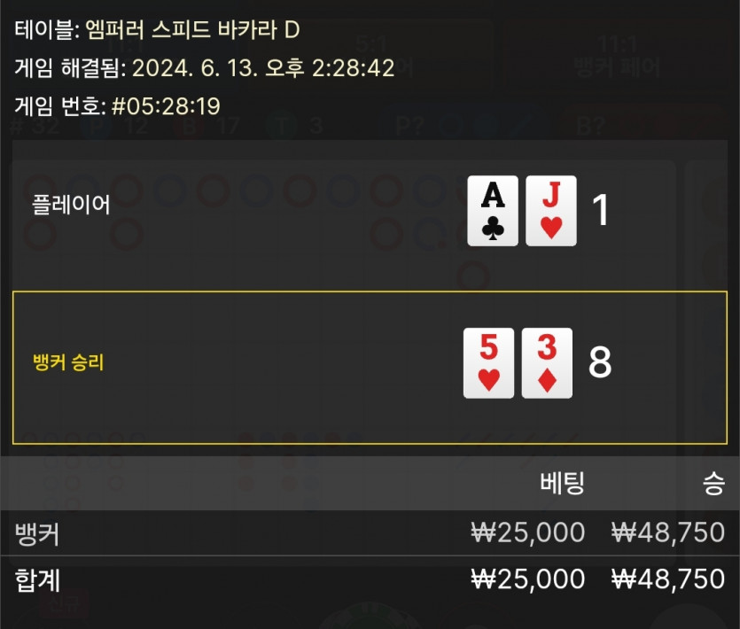 6/13 비제휴 바카라 후기 4(0)
