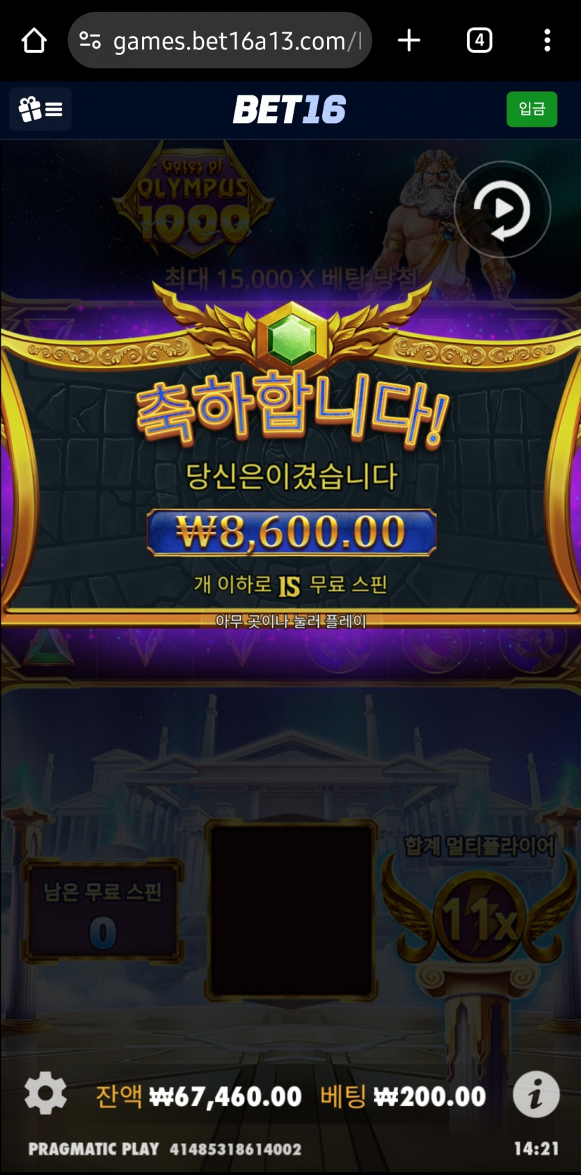 뱃16 할배 후기(2)
