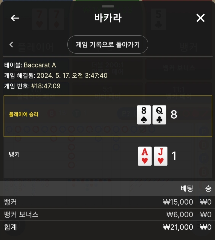 비제후기(0)