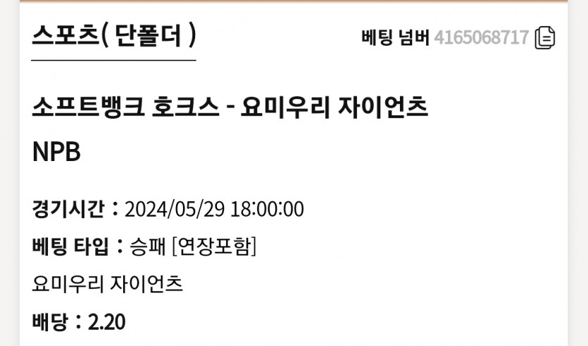 K카지노 NPB(0)