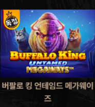 얀 루징(2)