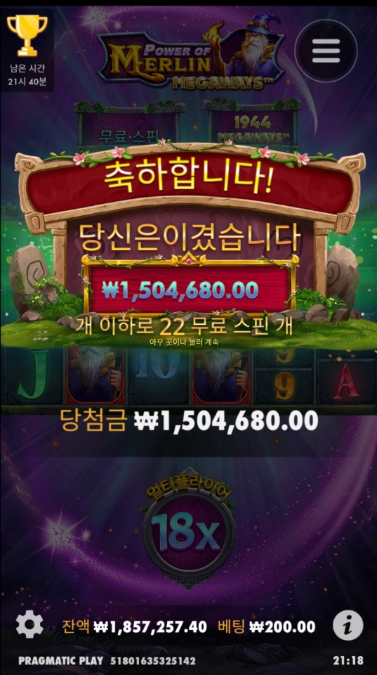 슬롯 머를린(0)