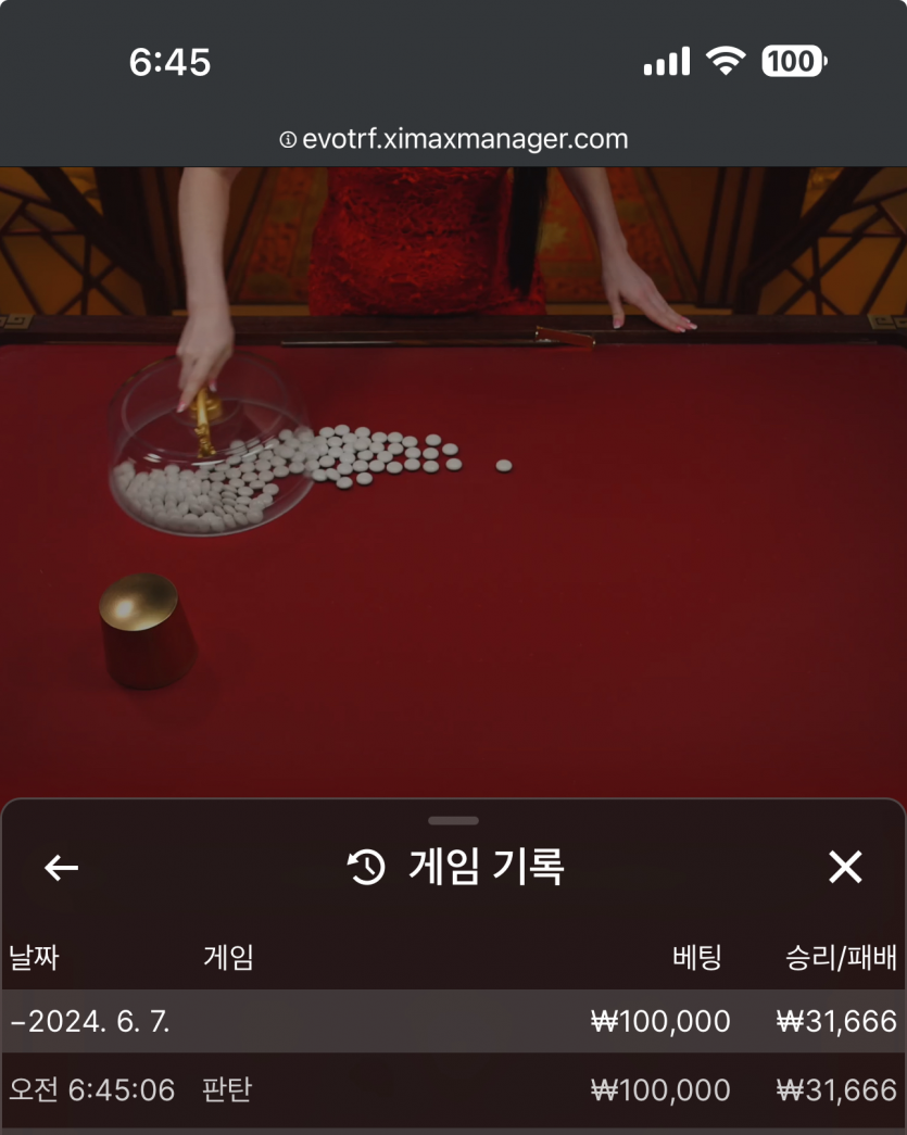 아리아 후기(0)