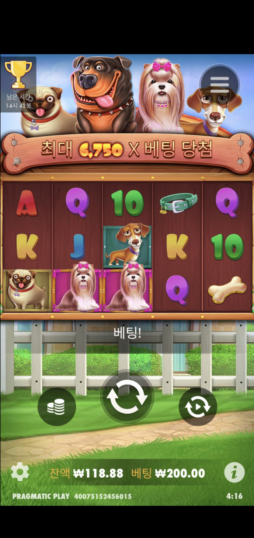 비제휴 후기(0)