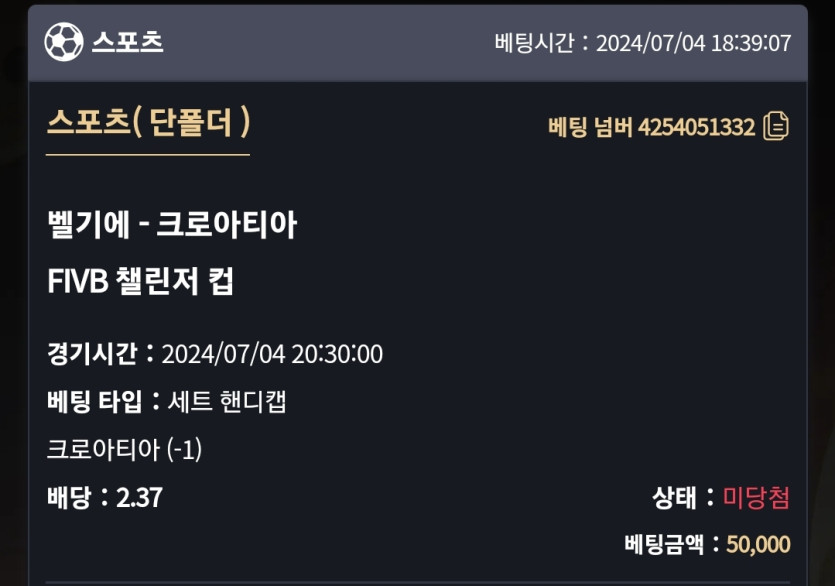 비제휴 스포츠 후기(0)
