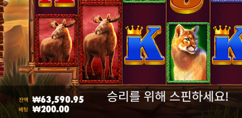 얀 루징(5)
