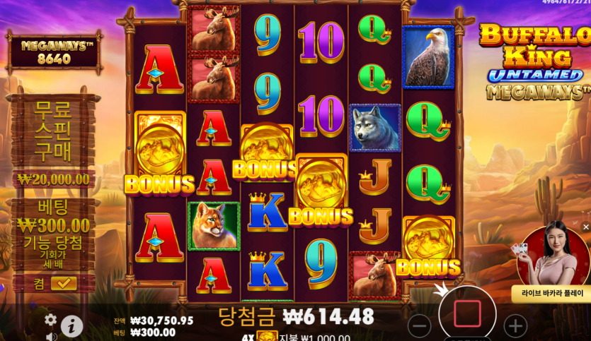 얀슬롯(4)
