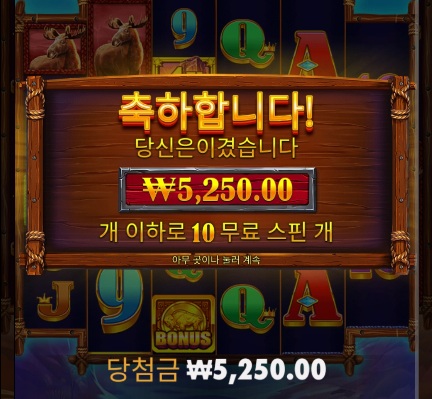 얀 슬롯(0)