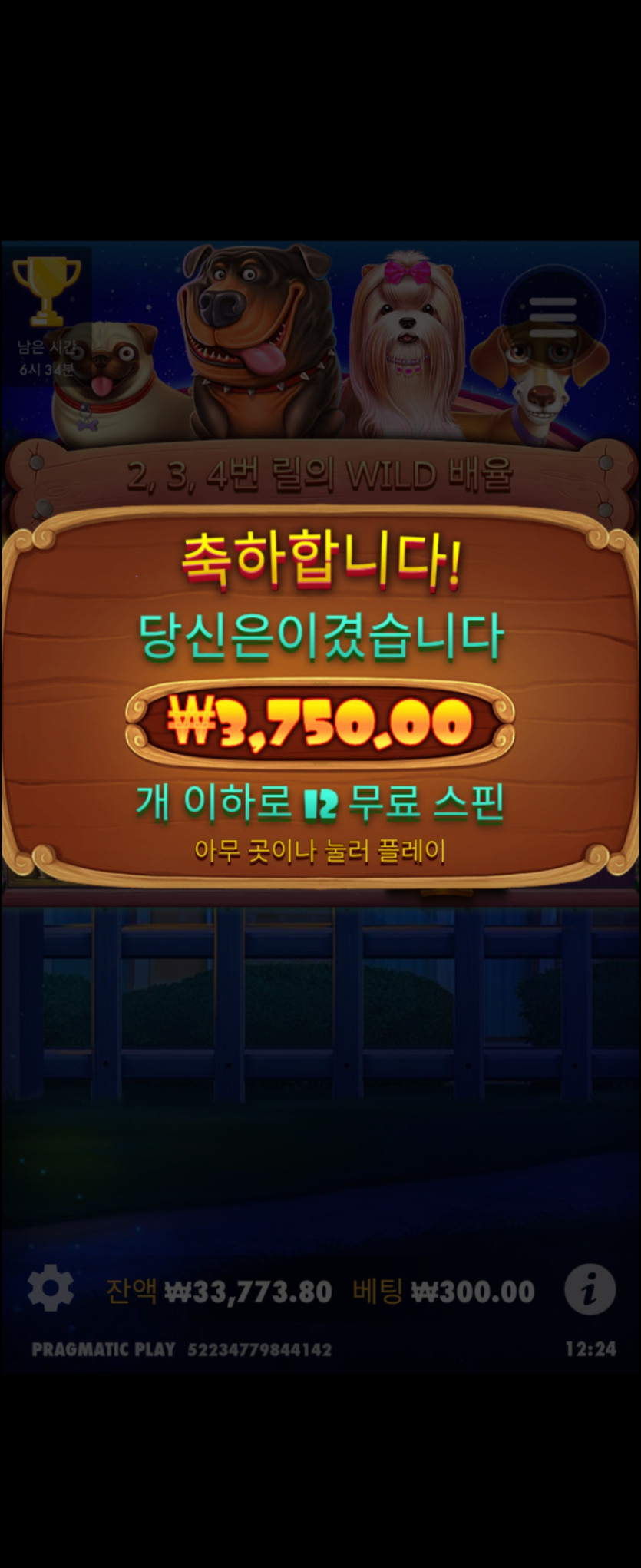 슬롯도 아우(0)