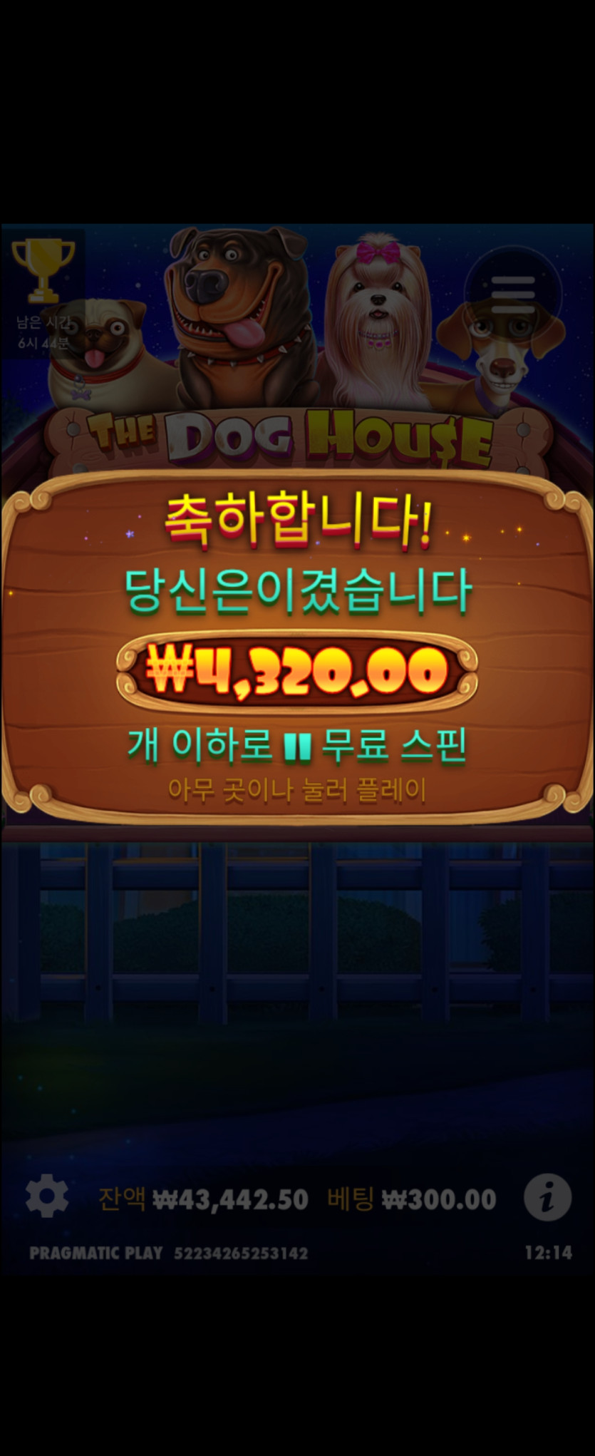 슬롯도 아우(2)