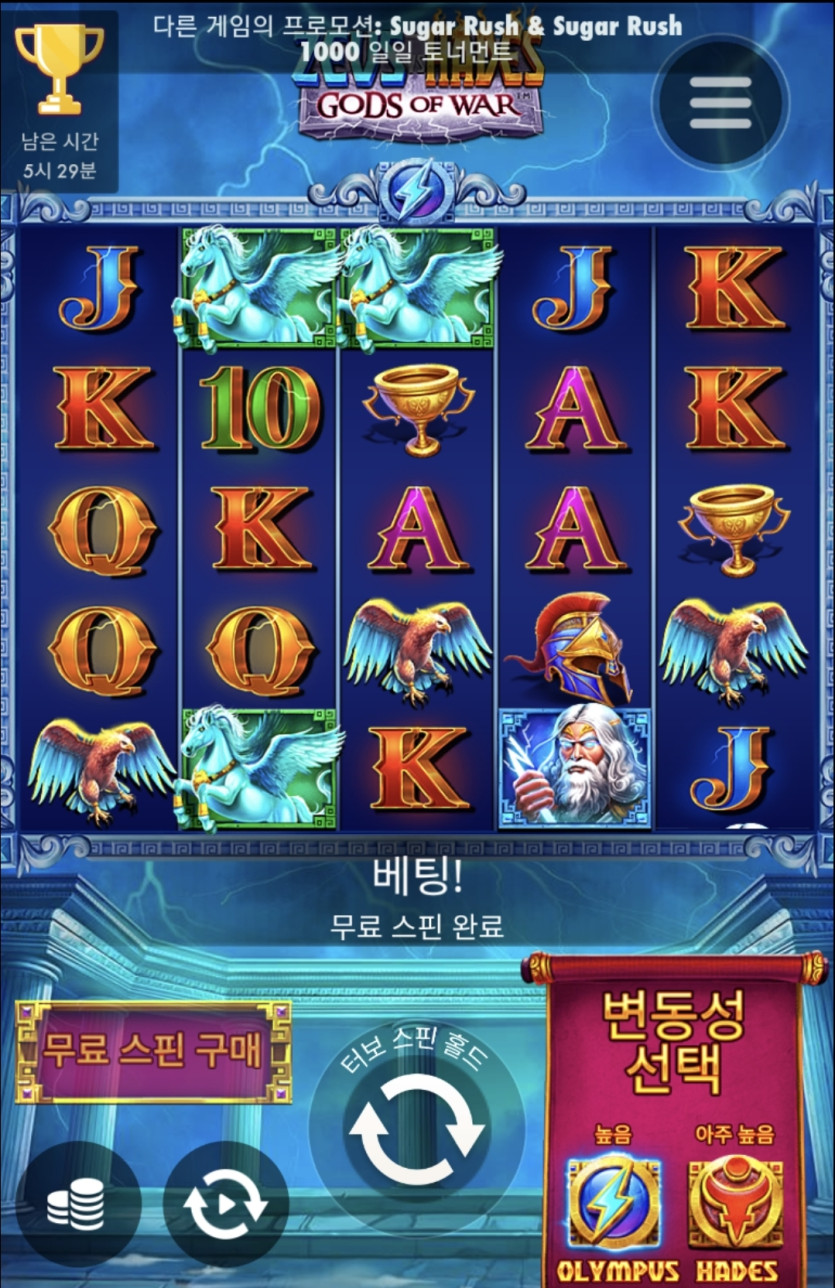 홈카 슬롯(0)