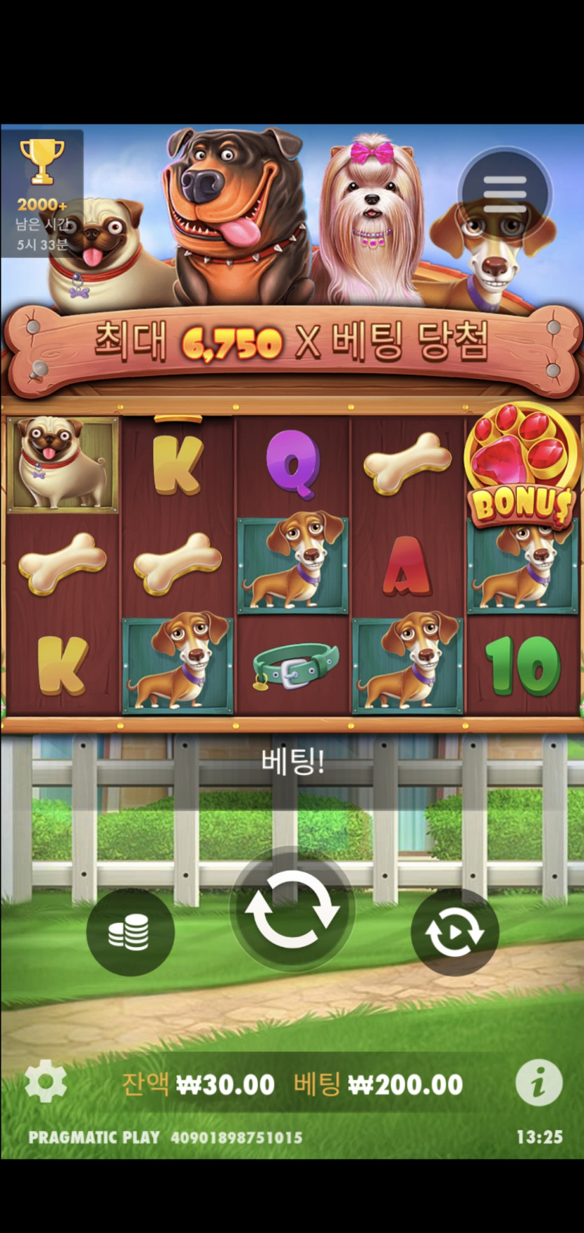 비제휴 후기(0)
