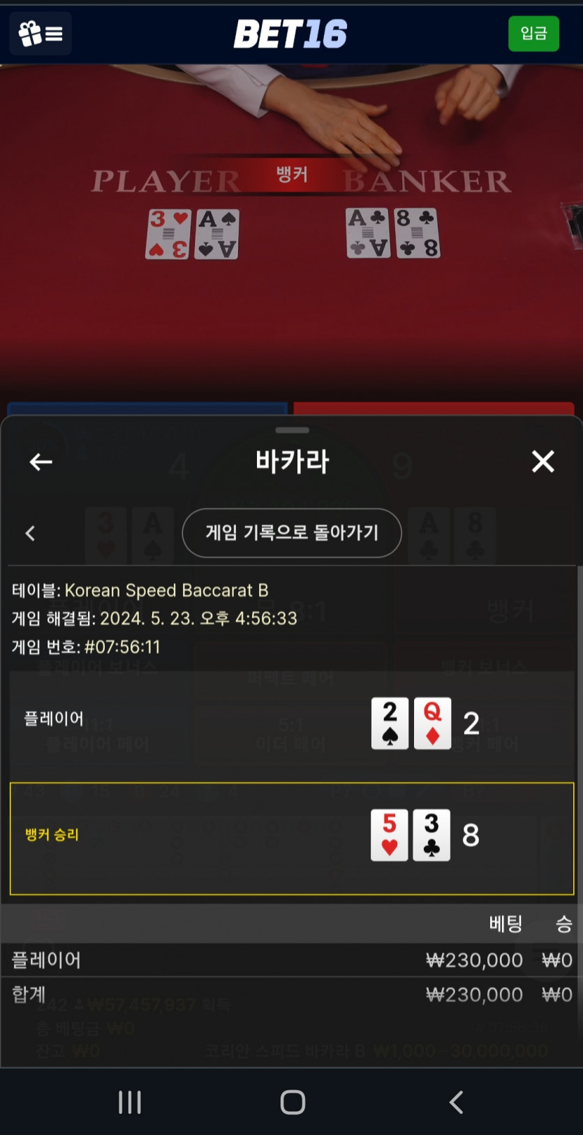 벳 16후기(0)