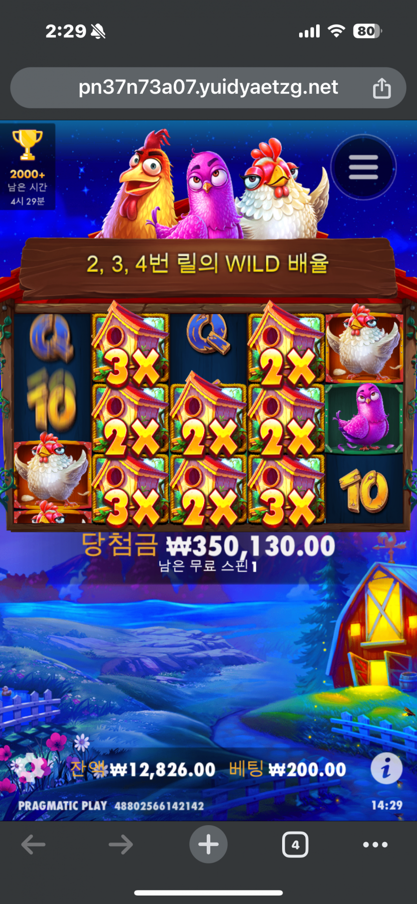 루징콤프 닭집 대박(0)