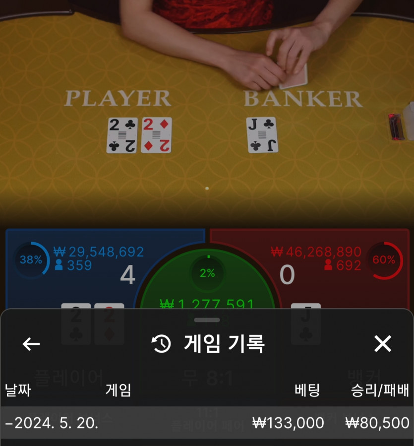 아리아루징(0)