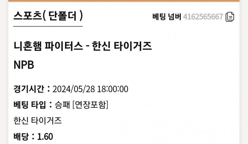 K카지노 NPB(0)