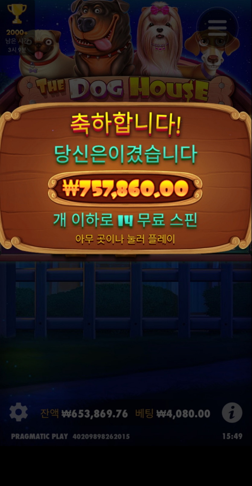 유로스타 개집(0)