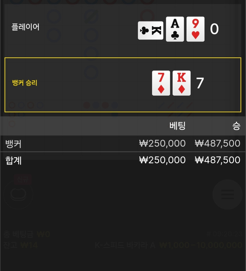 벳위즈후기(0)