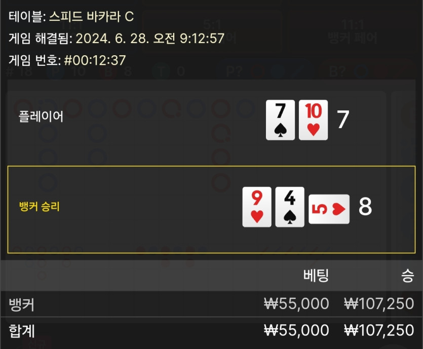 6/28 케이 바카라 후기 2(0)