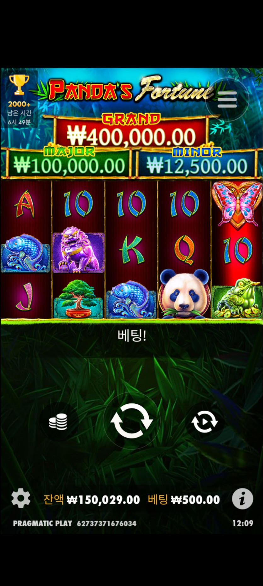 프라그후기(0)