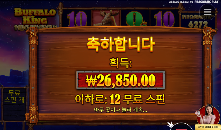 슬롯후기(0)