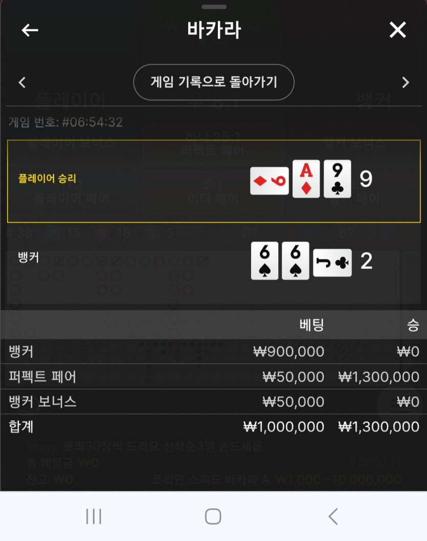 벳위즈 후기(0)