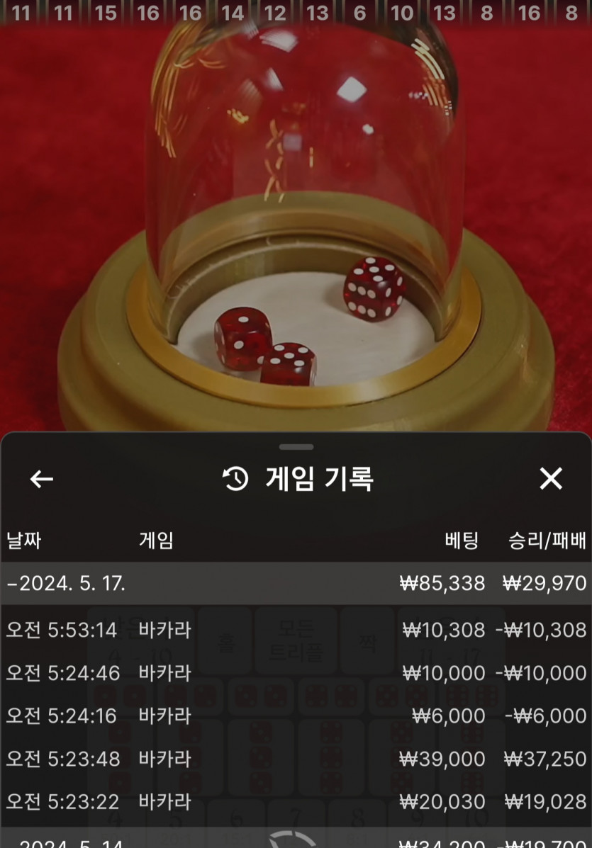 아리아 카지노 후기(0)