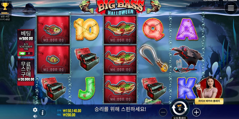 비제휴후기(1)