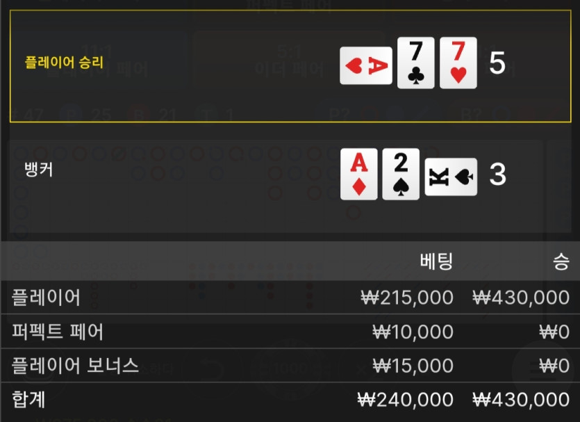 벳위즈 후기(0)