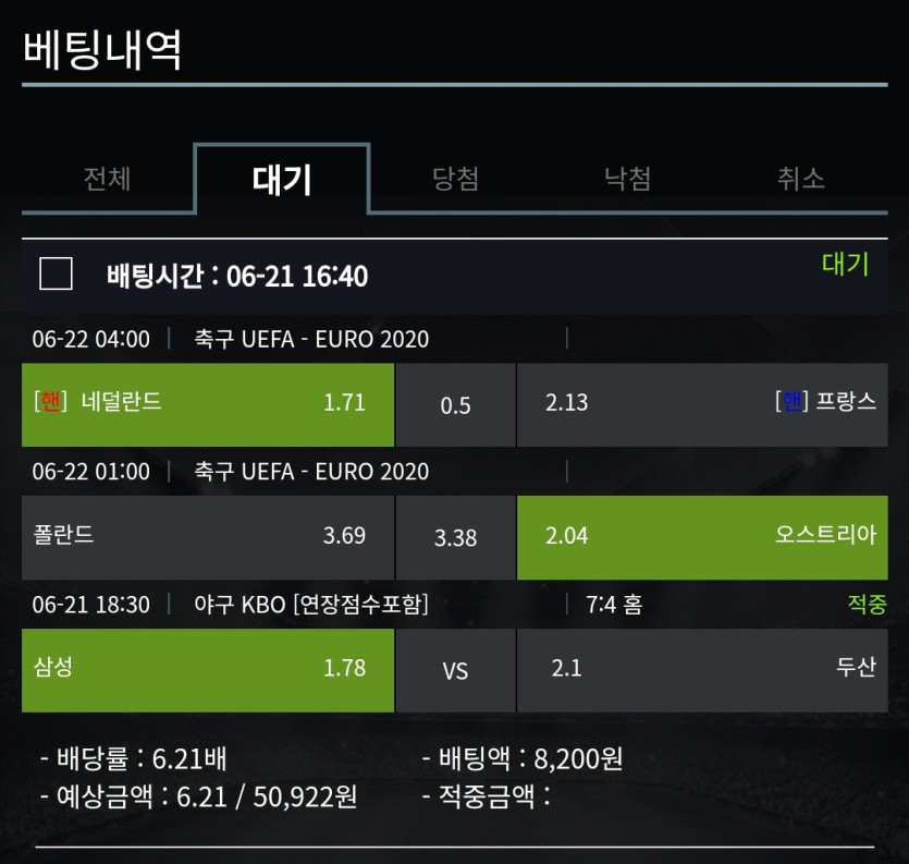 비제휴 스포츠 후기(0)