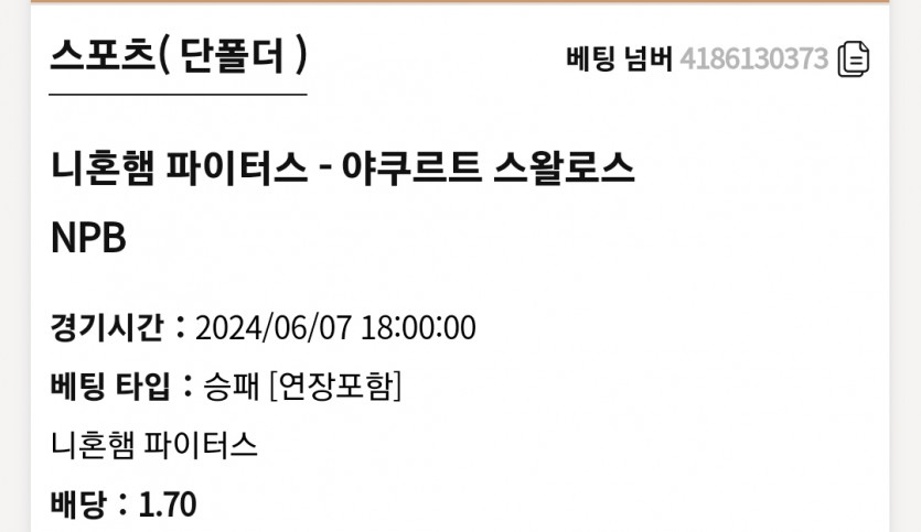K카지노 NPB(0)