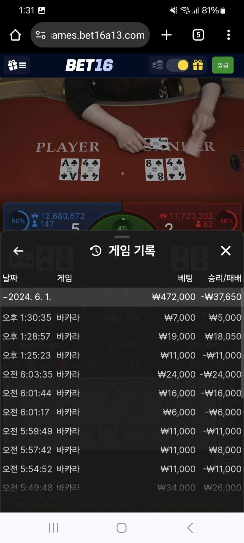 벳16 후기(0)