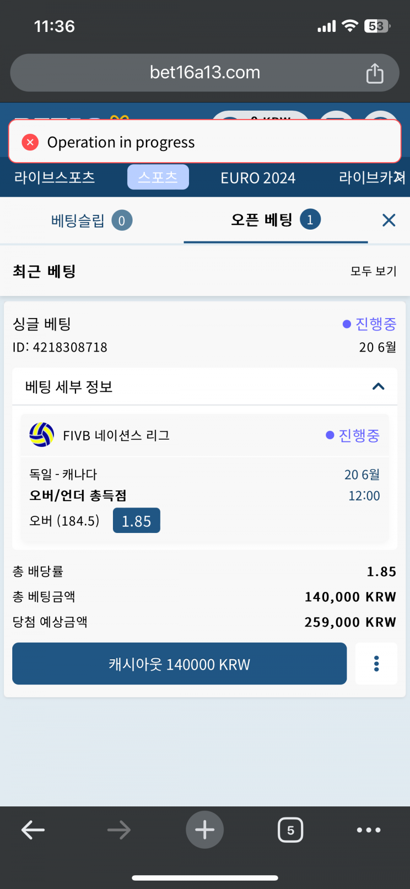 벳16 배구 배팅(0)
