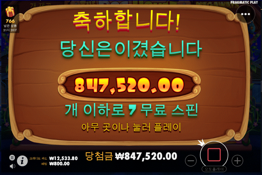 벳위즈 개집 후기입니다.(0)