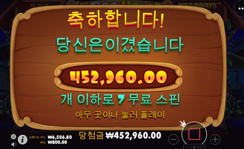 개집 이녀석 왜이러죠?(0)