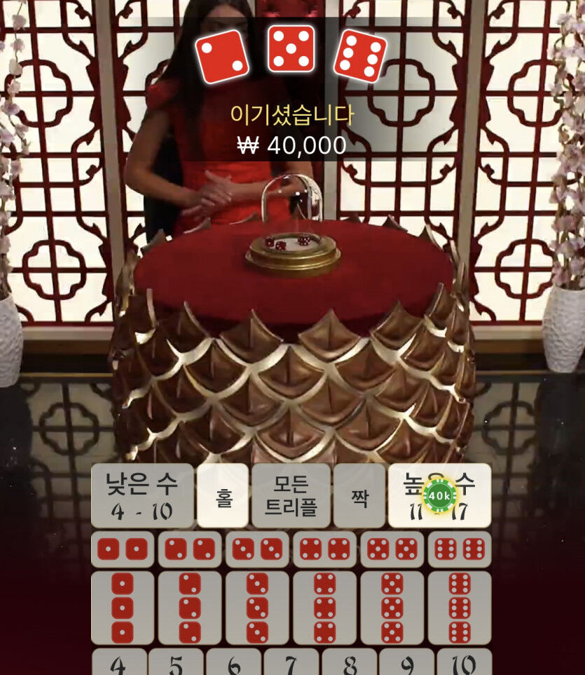 벳무브 후기(0)