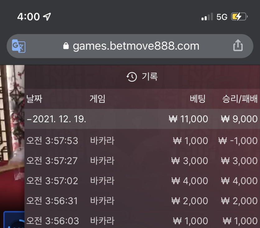 벳무브 후기(0)
