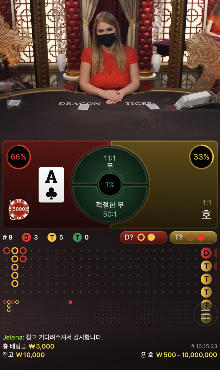 벳앤드 후기(0)
