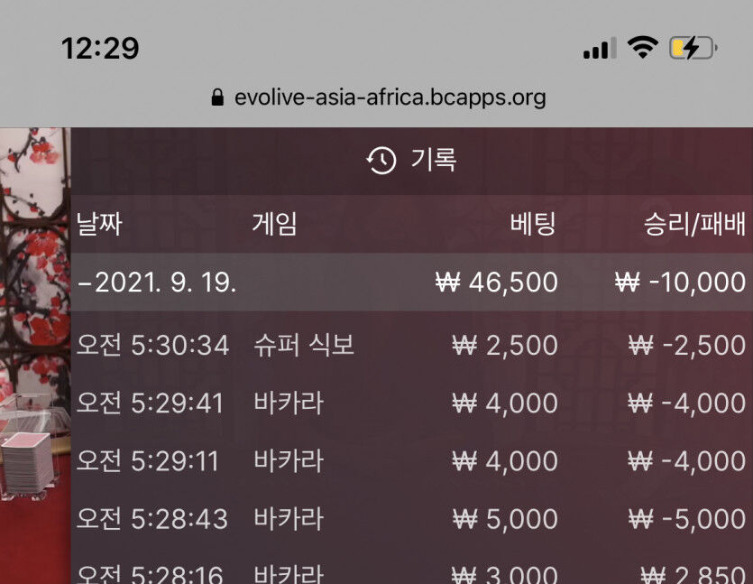 벳무브(0)
