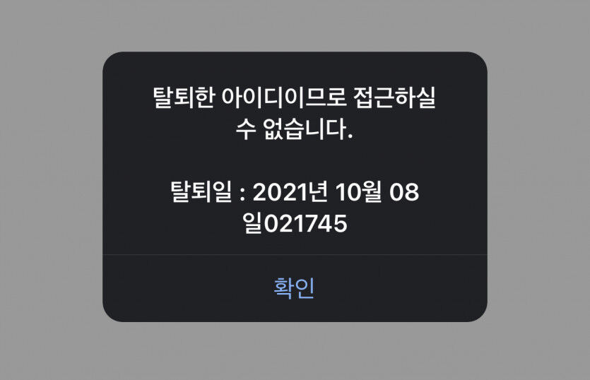 선시티 졸업 후기(0)