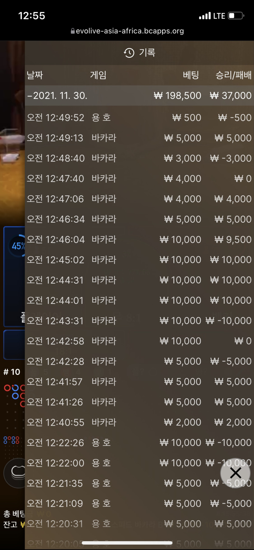벳무브 후기(0)