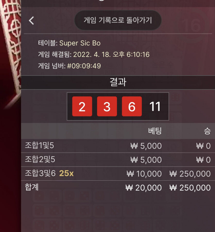 홈카지노 식보후기(0)